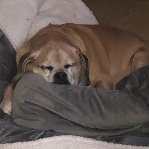 Meet your Posher, Kkristen